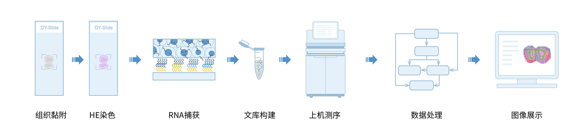 空间转录组核心原理图20230327-03.jpg