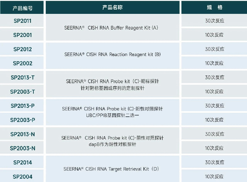 SEERNA®-CISH-RNA-显色原位杂交试剂盒折页-最终-07.jpg