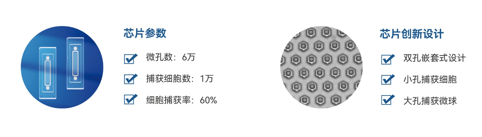 Well-Paired-Seq三折页 阅读版20230522-10.jpg