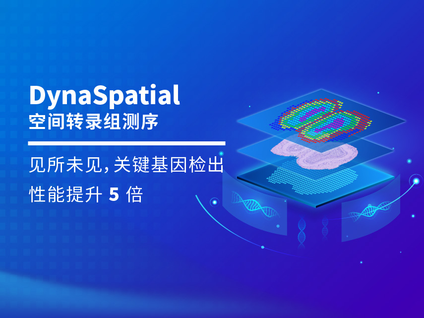空间转录组测序