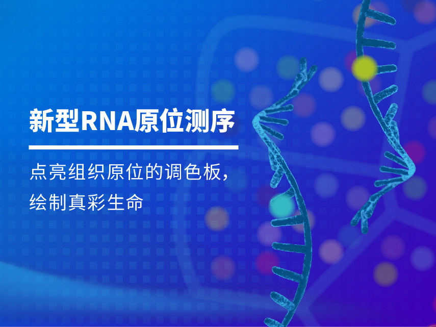 新型RNA原位测序