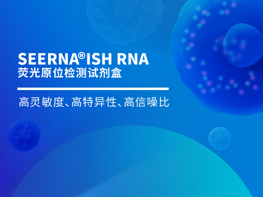 RNA荧光原位杂交