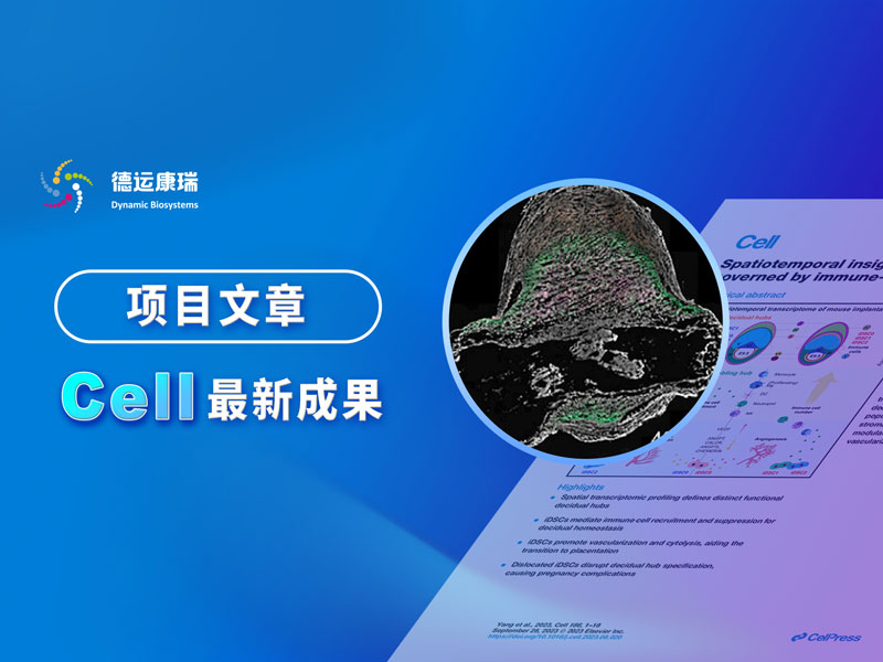 项目文章Cell | 德运康瑞原位检测技术助力北大杜鹏团队解析妊娠早期子宫微环境的建立和稳态维持