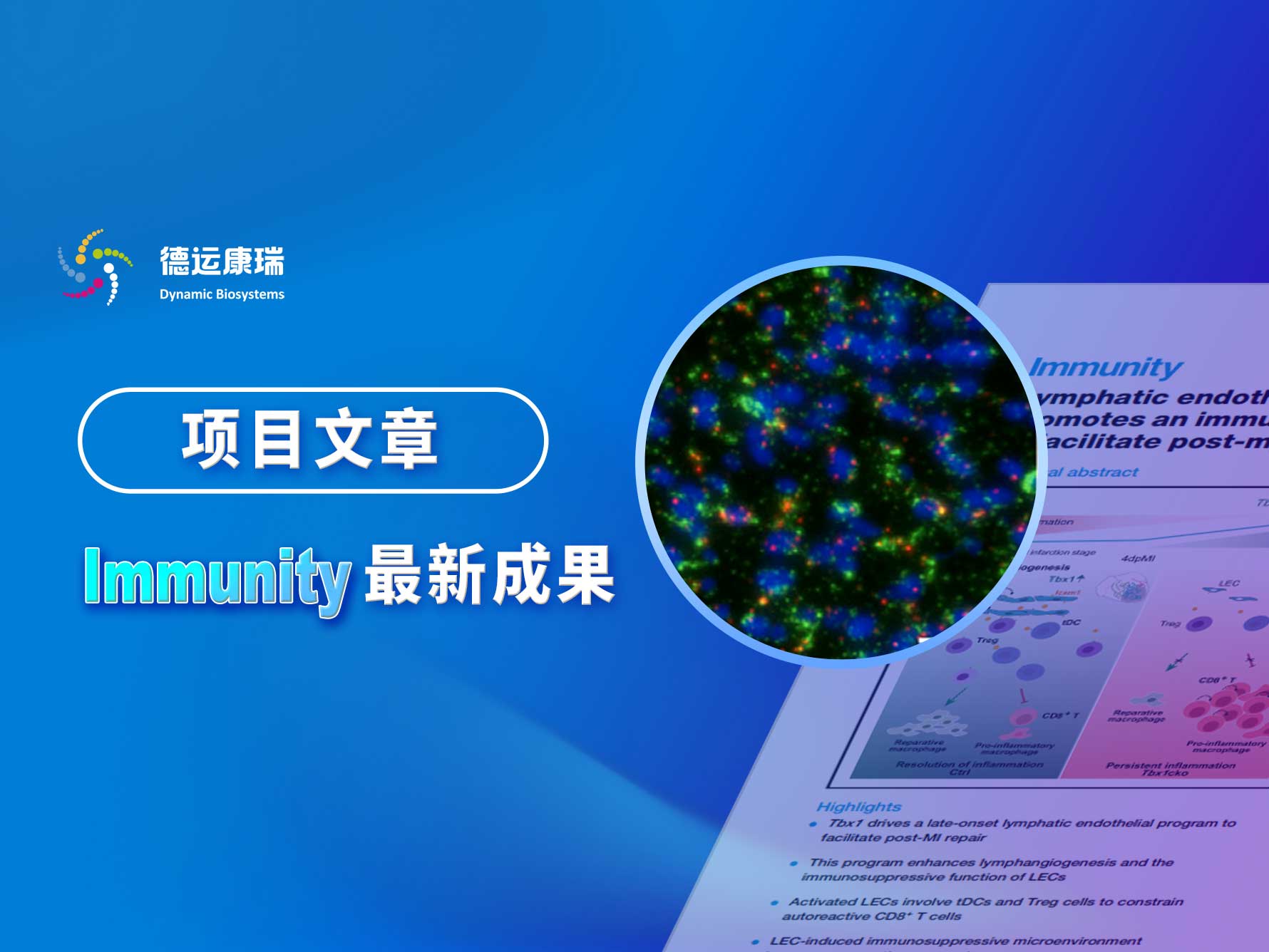 国际免疫学顶尖杂志Immunity文章发表|德运康瑞RNA荧光原位检测技术助力心梗修复机制研究