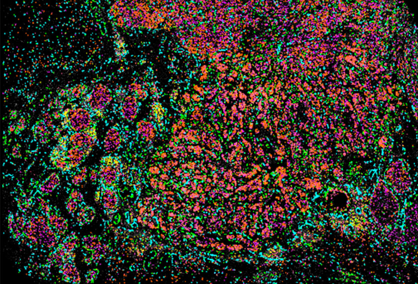 泛癌种Cell Marker Panel