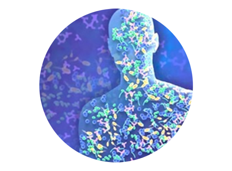 DeepMarker MT代谢组学平台