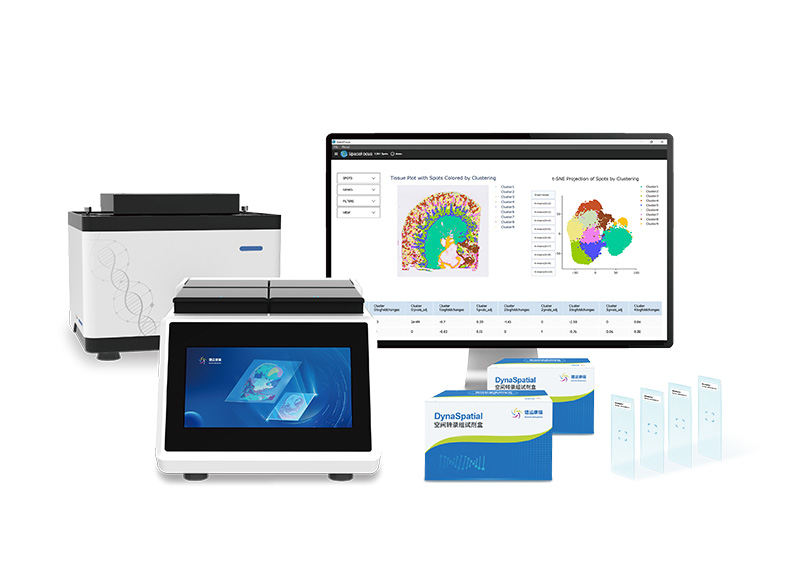 DynaSpatial探针法产品